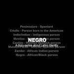 Negro: A Docu-Series About Latino Identity